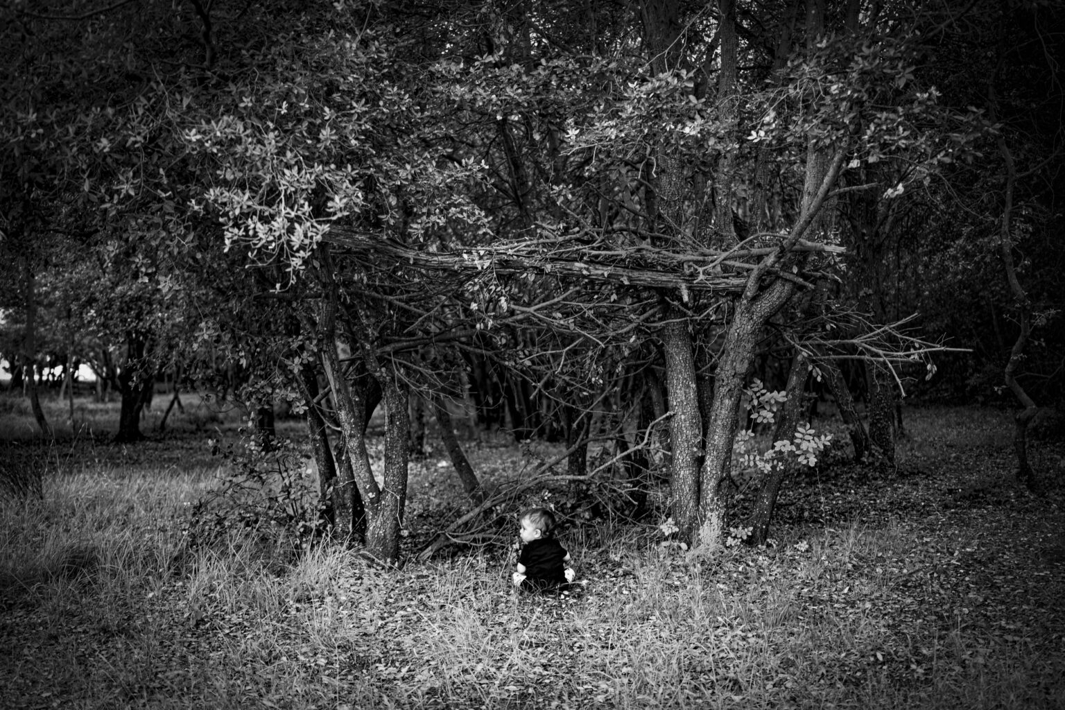 Bambino tra gli alberi - Ritratto di Ivan D'Amico Fotografo